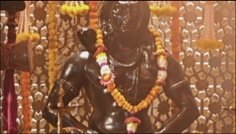 Apollena - 23rd February 2025